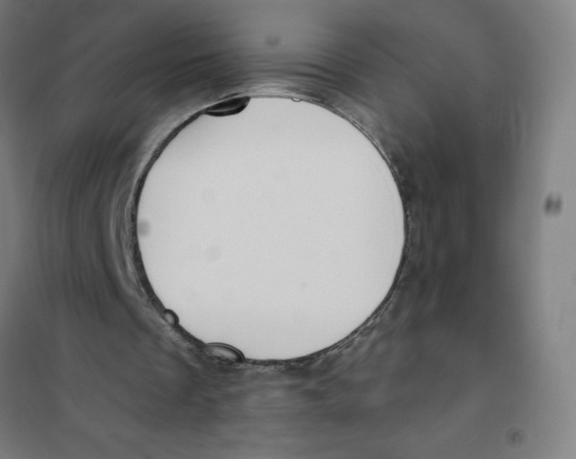 X0000101210289200807251055