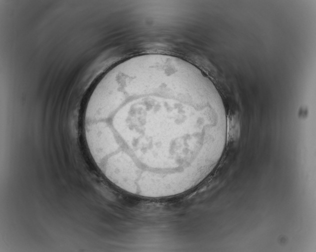 X0000101210291200807251055