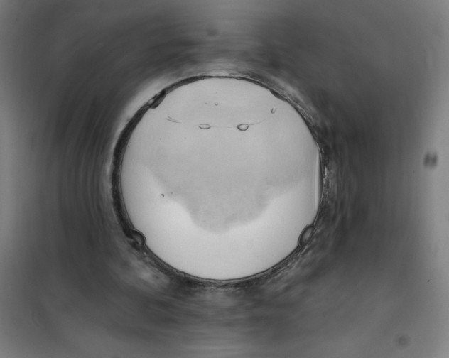 X0000101210292200807251055