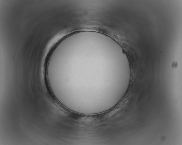 X0000101210294200807251055