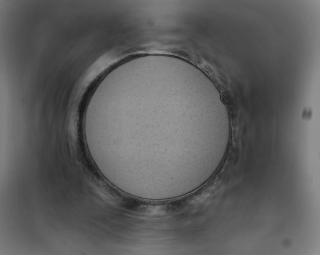 X0000101210295200807251055