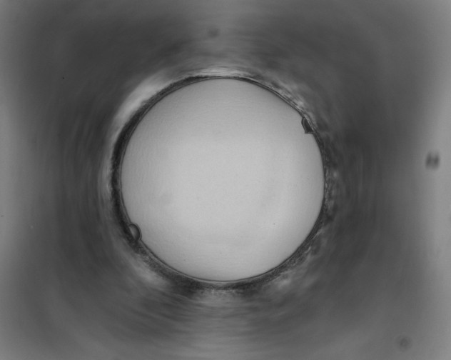 X0000101210296200807251055