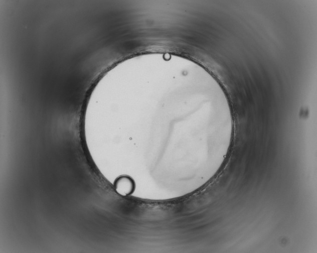 X0000101210297200807251055