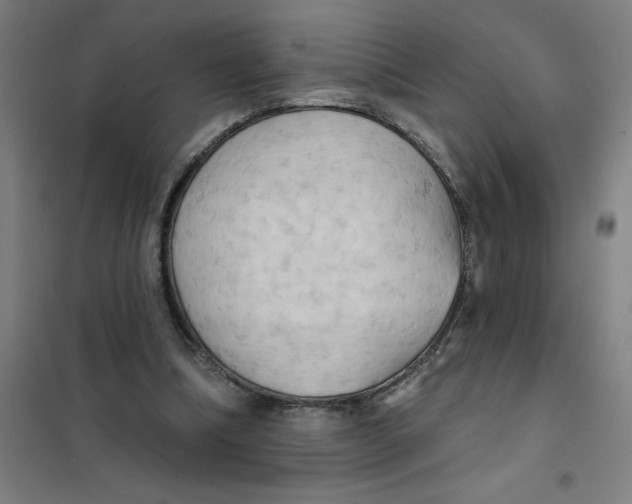 X0000101210298200807251055