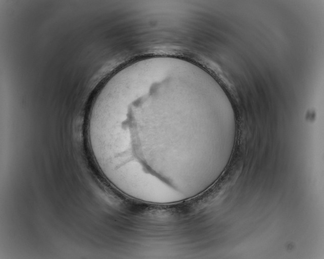 X0000101210299200807251055