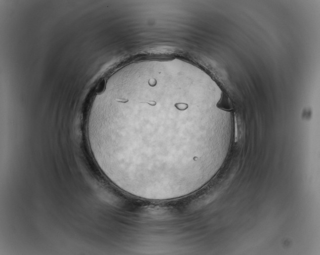 X0000101210300200807251055