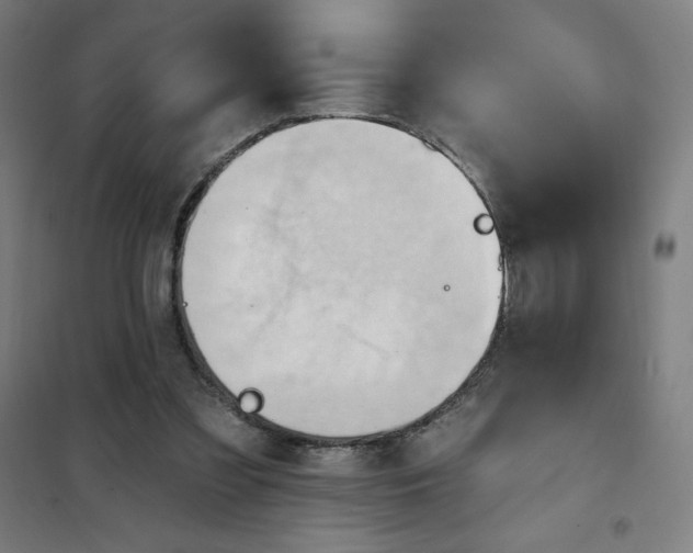 X0000101210301200807251055