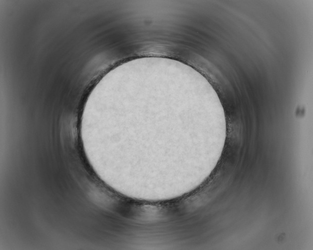 X0000101210302200807251055