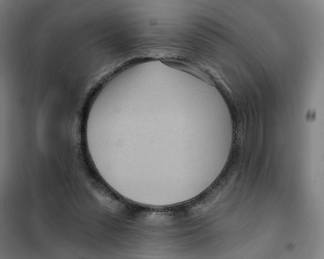 X0000101210303200807251055