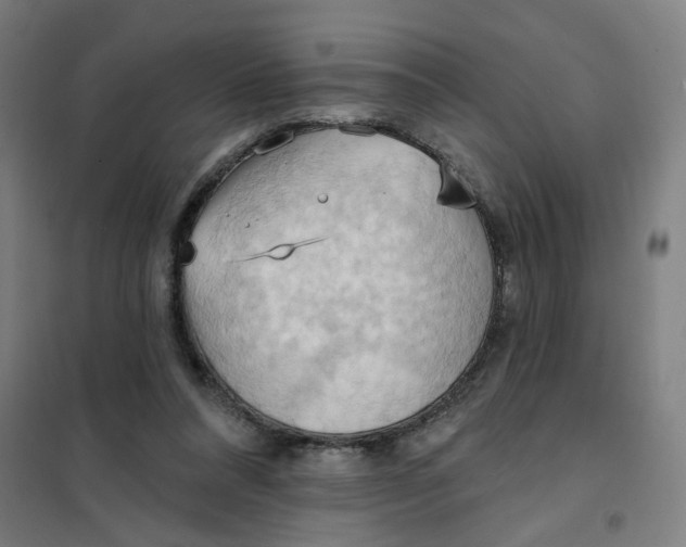 X0000101210304200807251055