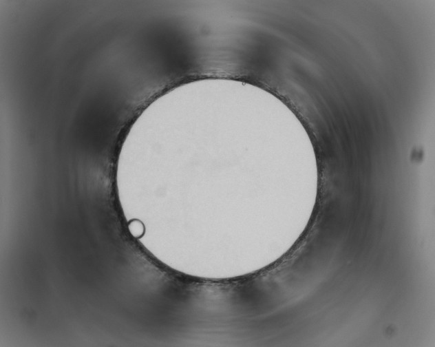 X0000101210305200807251055