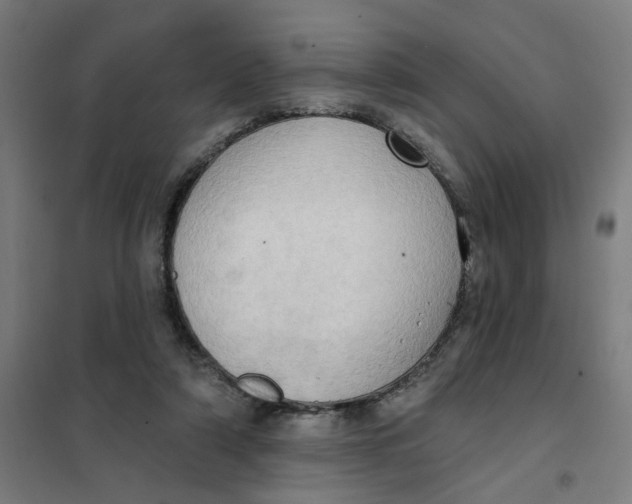 X0000101210306200807251055