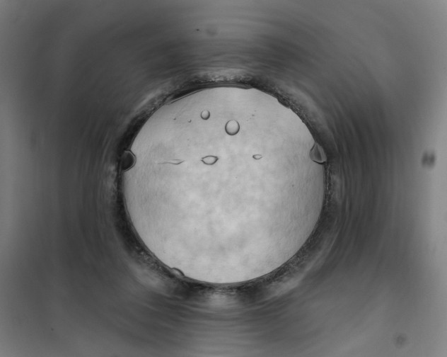 X0000101210308200807251055