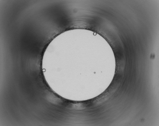 X0000101210309200807251055