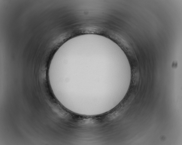 X0000101210310200807251055