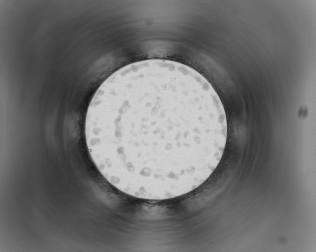 X0000101210311200807251055