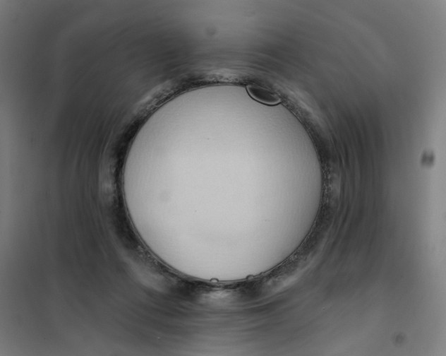 X0000101210312200807251055