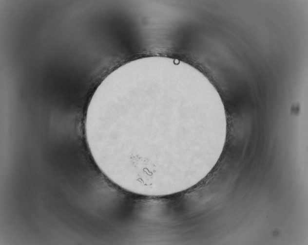 X0000101210313200807251055