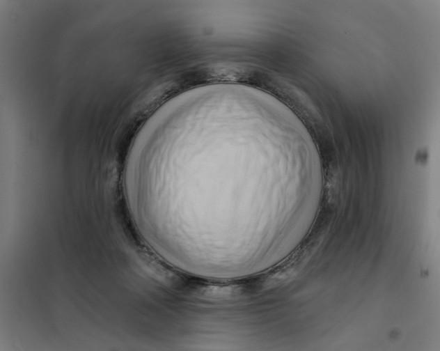 X0000101210314200807251055