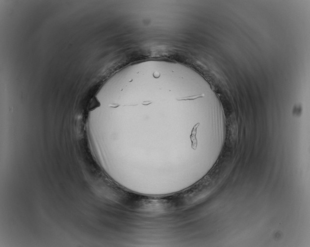 X0000101210316200807251055