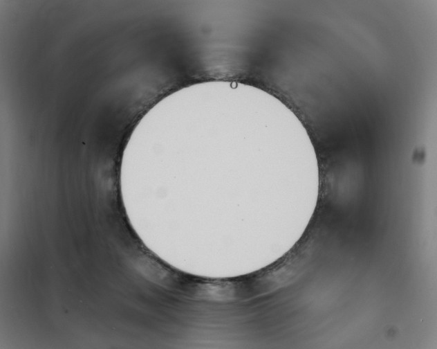 X0000101210317200807251055