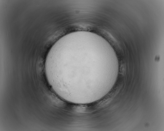 X0000101210318200807251055