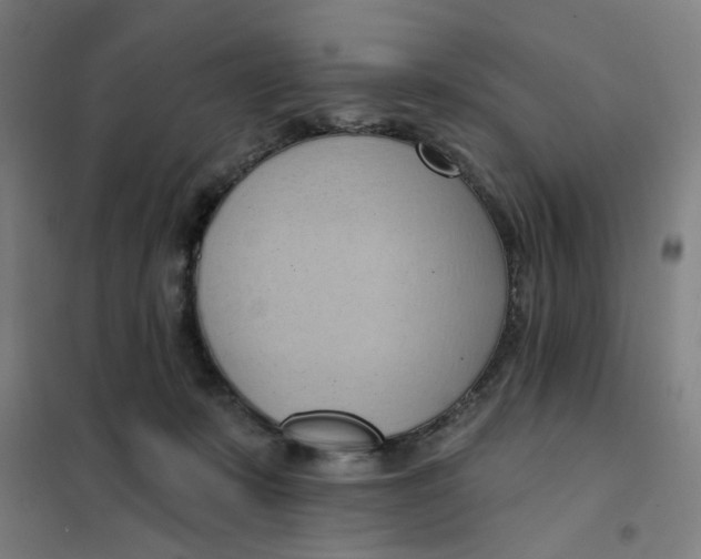 X0000101210319200807251055