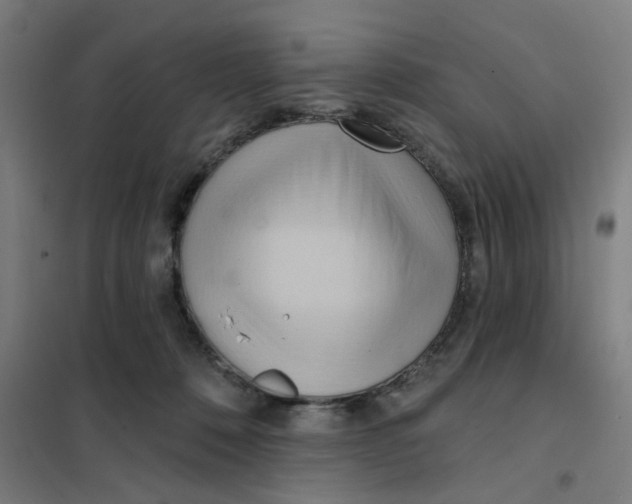 X0000101210320200807251055