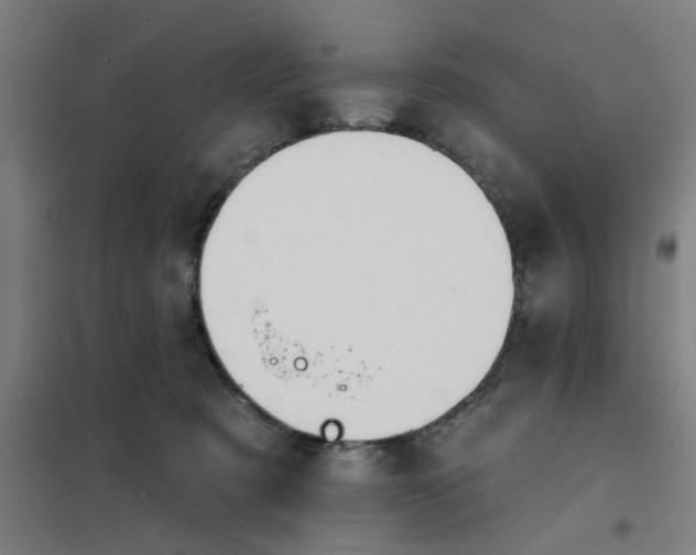 X0000101210321200807251055