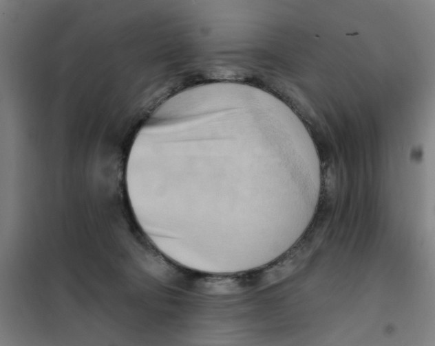 X0000101210322200807251055