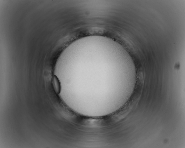 X0000101210323200807251055