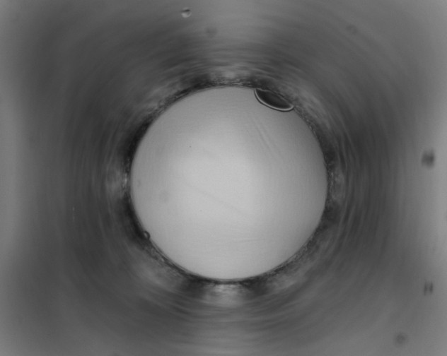 X0000101210324200807251055