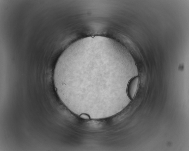 X0000101210326200807251055