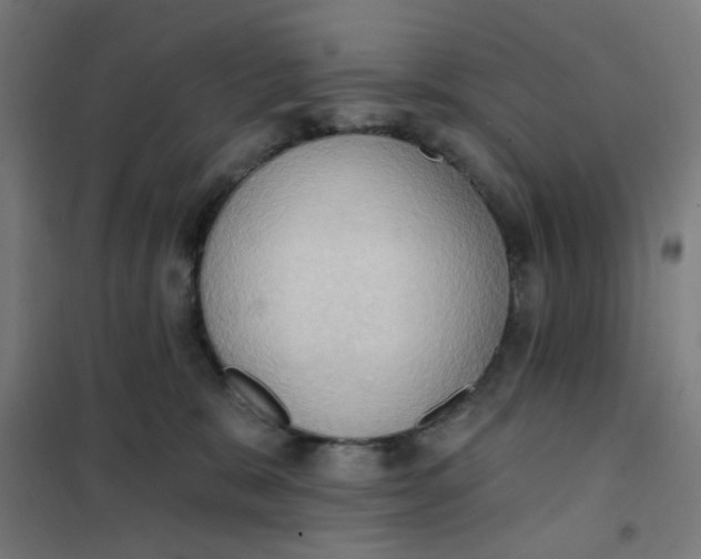 X0000101210327200807251054