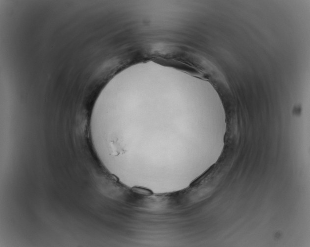 X0000101210328200807251054