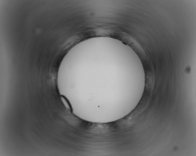 X0000101210329200807251054