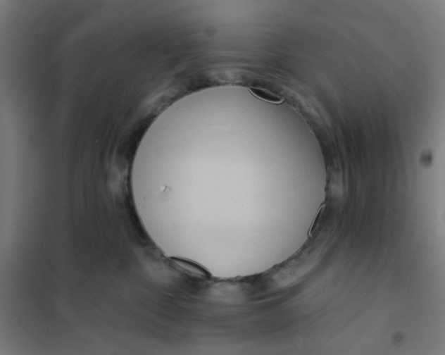 X0000101210332200807251054