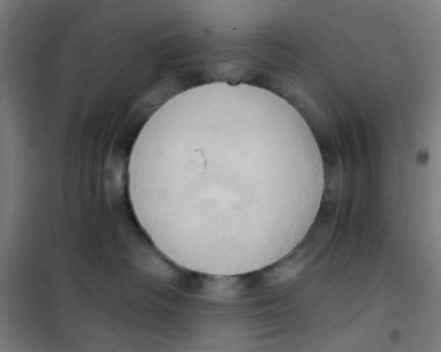 X0000101210334200807251054