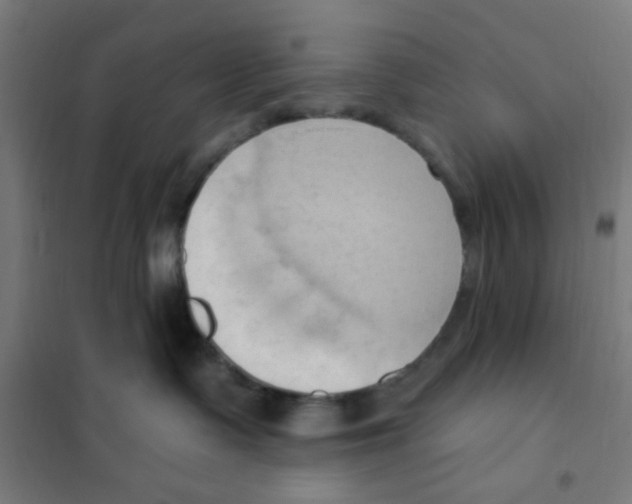 X0000101210335200807251054