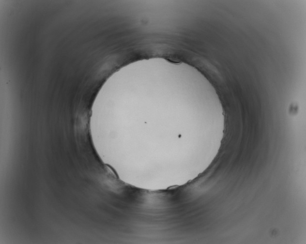 X0000101210336200807251054