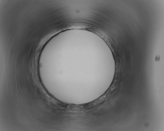 X0000101210337200807251054