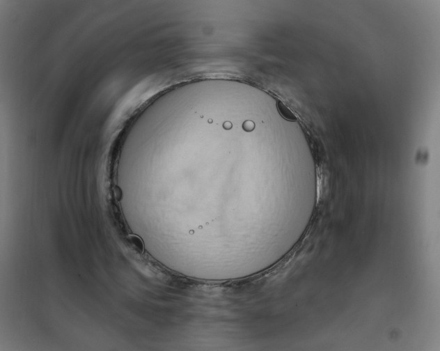 X0000101210339200807251054