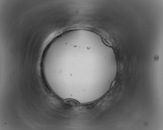 X0000101210340200807251054