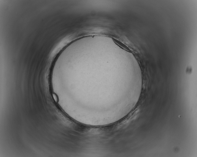 X0000101210341200807251054