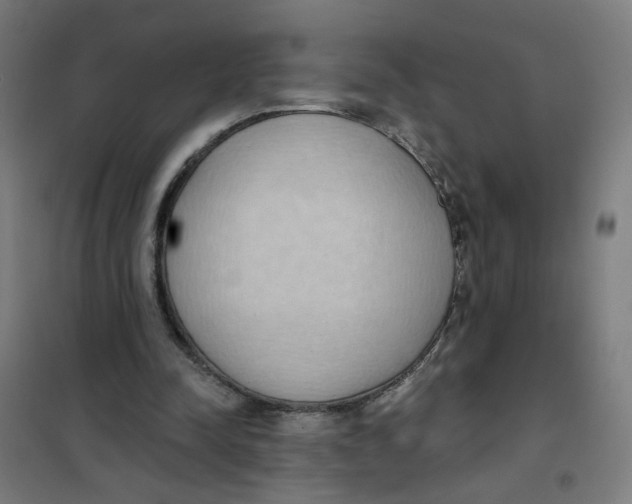 X0000101210342200807251054