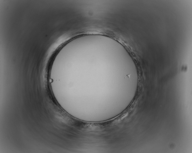 X0000101210343200807251054