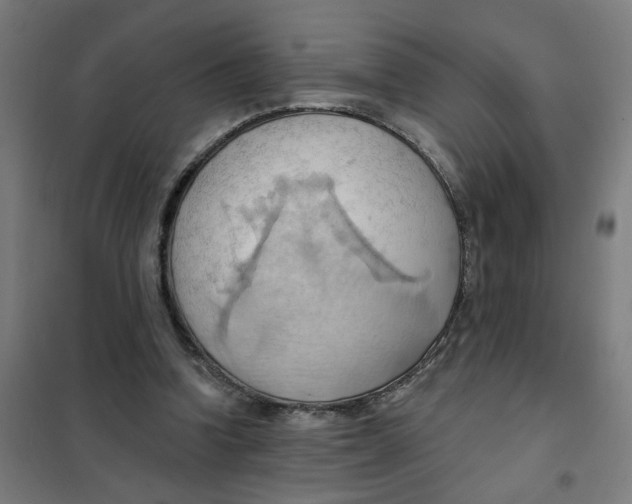 X0000101210346200807251054