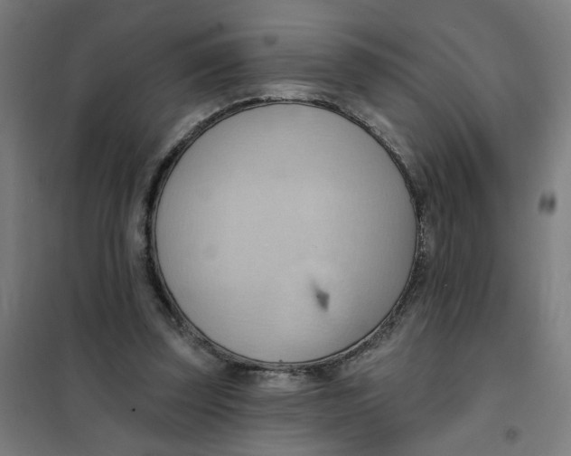 X0000101210347200807251054