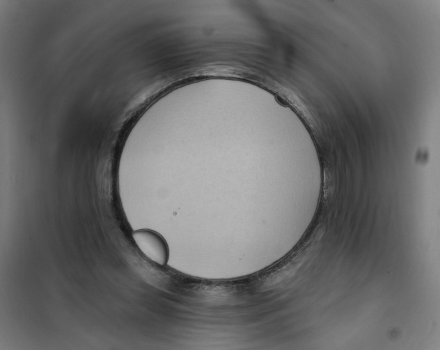 X0000101210349200807251054