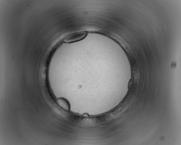 X0000101210350200807251054